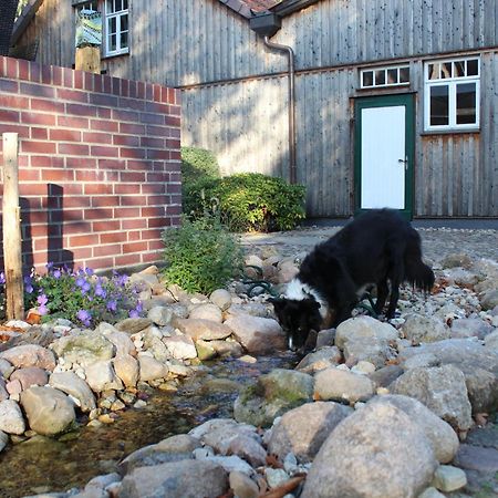 Landgasthof Wildwasser Wolthausen Eksteriør billede