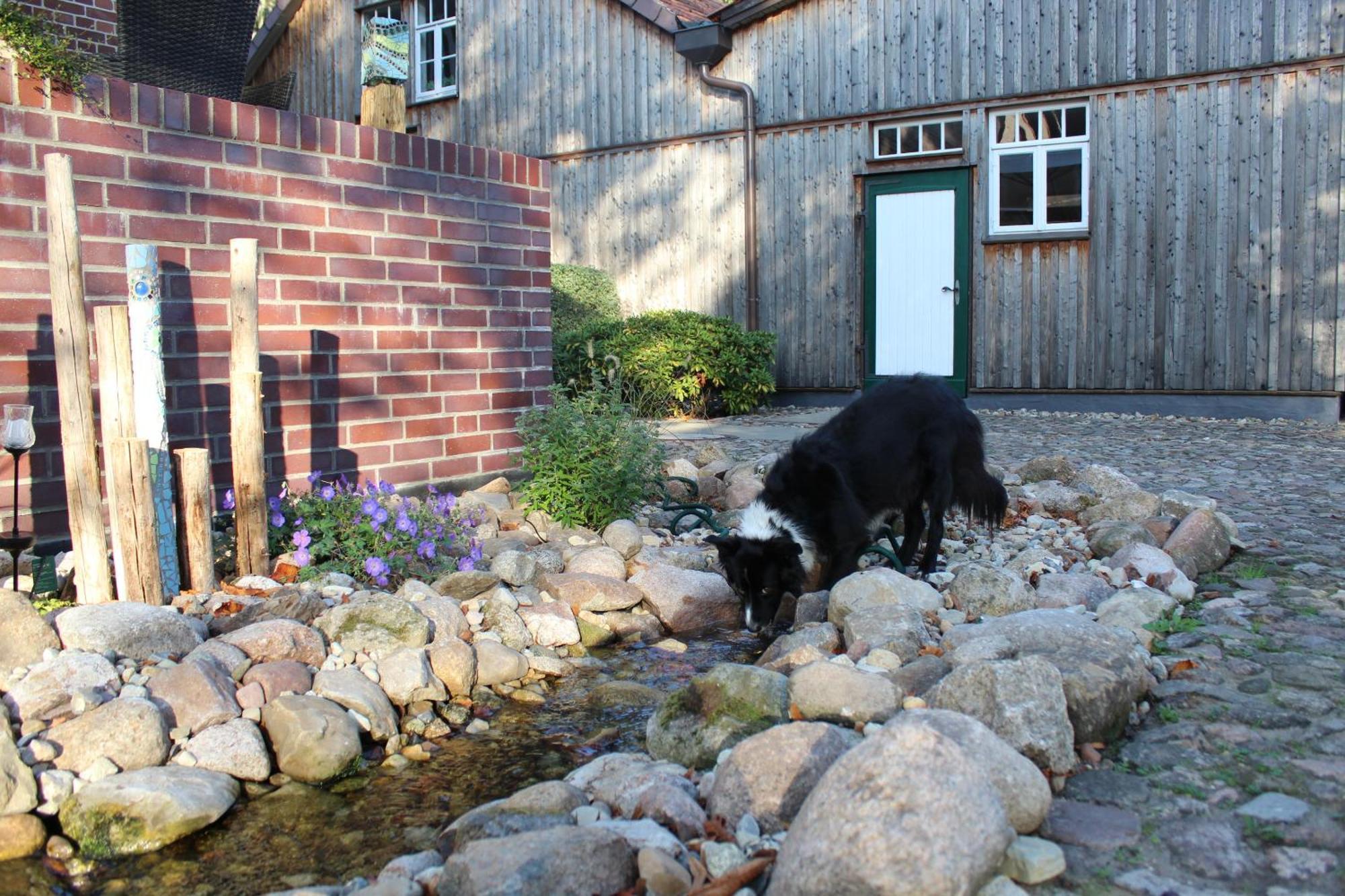 Landgasthof Wildwasser Wolthausen Eksteriør billede